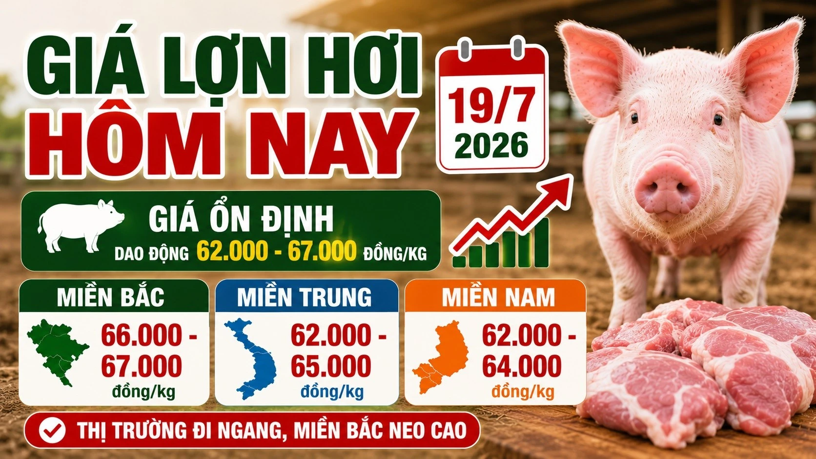 gia-heo-hoi-hom-nay-19-7-2026-160.jpg