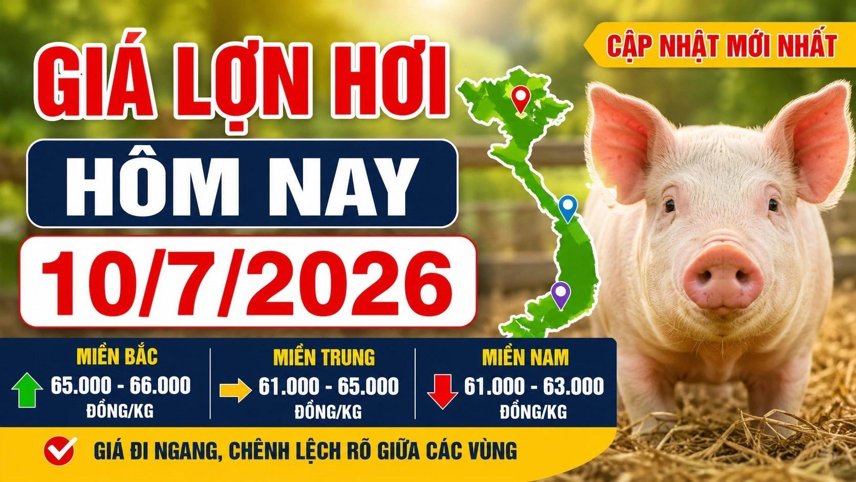 gia-lon-hoi-hom-nay-10-7-2026.jpg