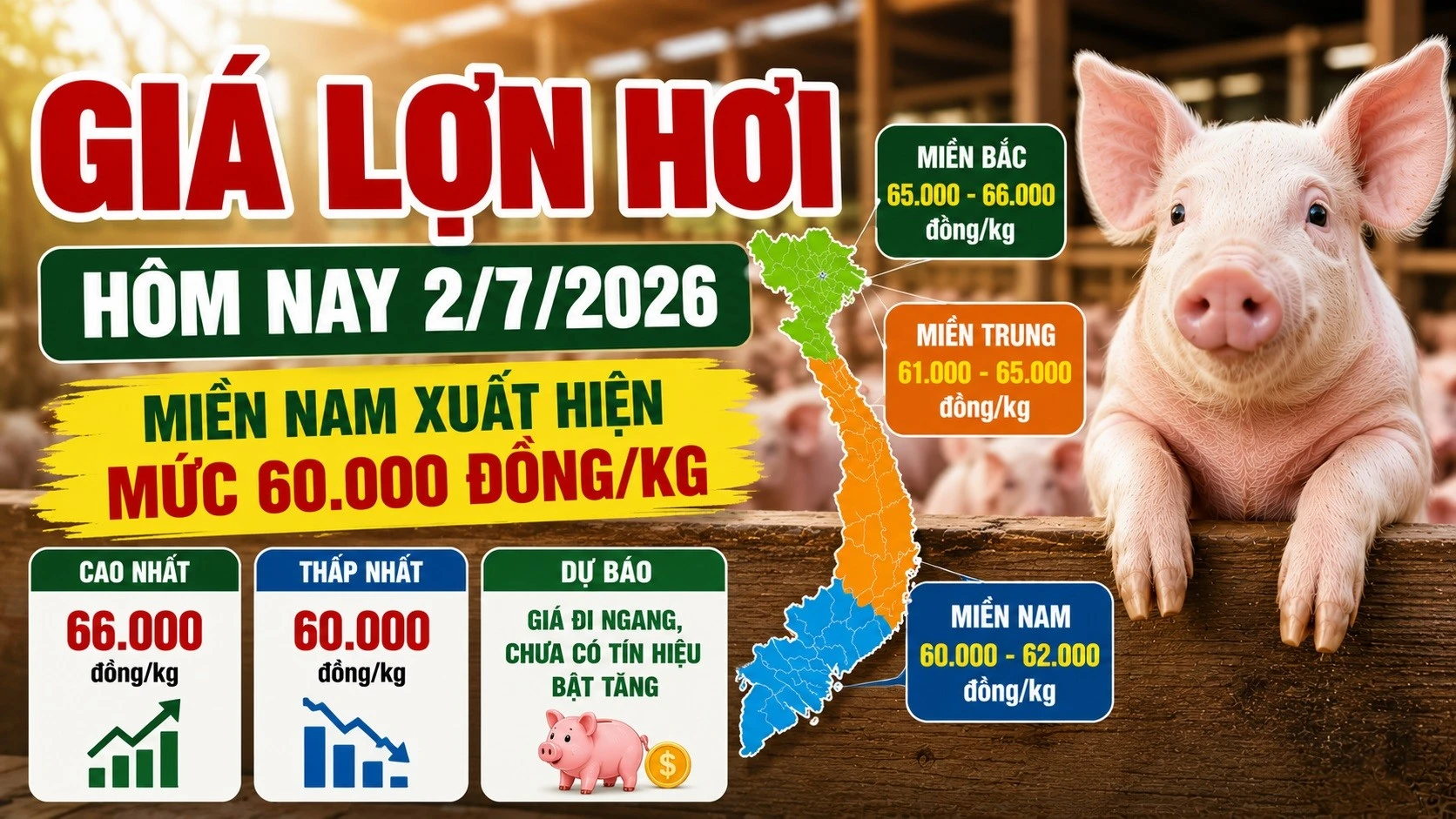 gia-heo-hoi-hom-nay-2-7-2026.jpg