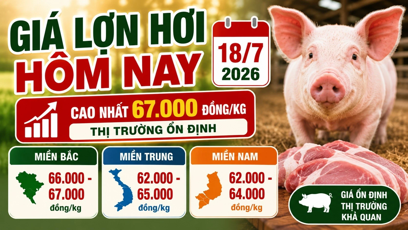 gia-heo-hoi-hom-nay-18-7-2026.jpg