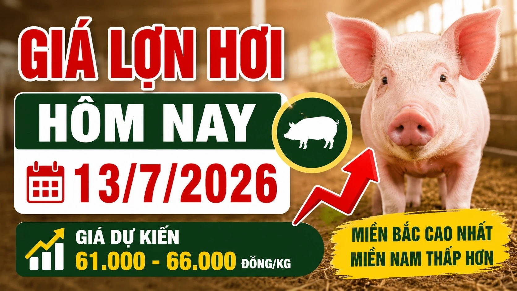 gia-lon-hoi-hom-nay-13-7-2026.jpg