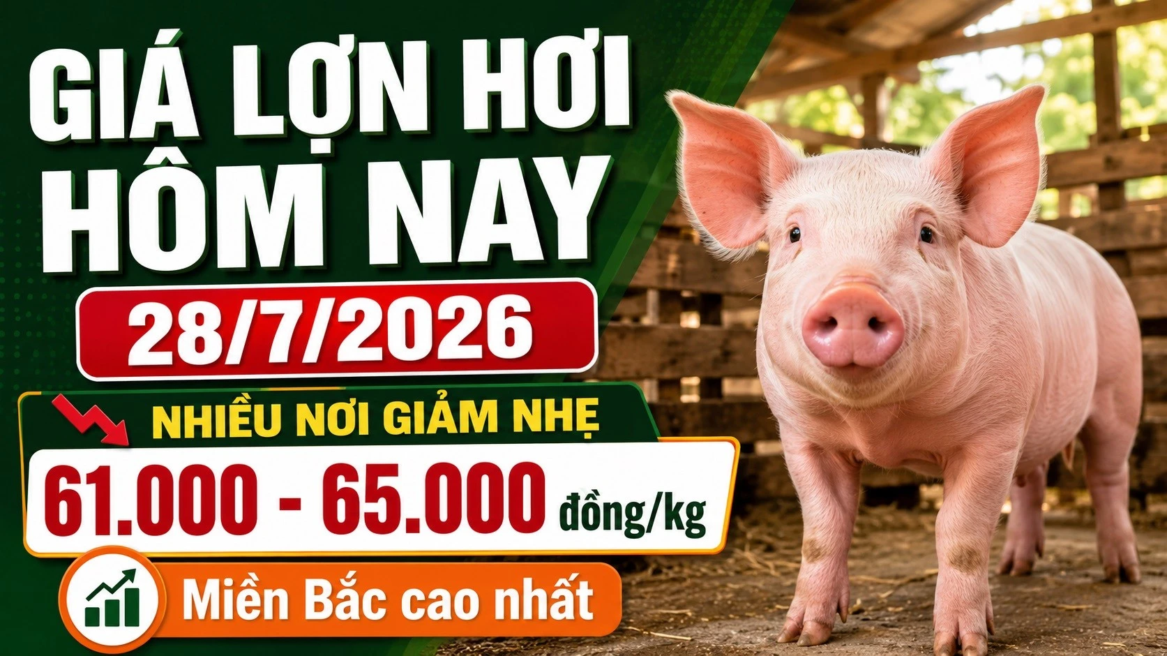 gia-heo-hoi-hom-nay-28-7-2026.jpg