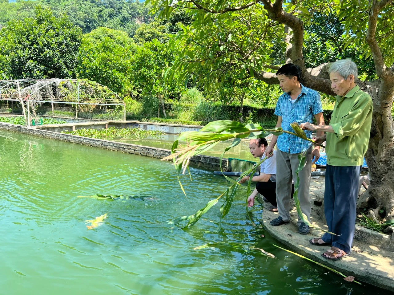 thủy sản 3.jpg