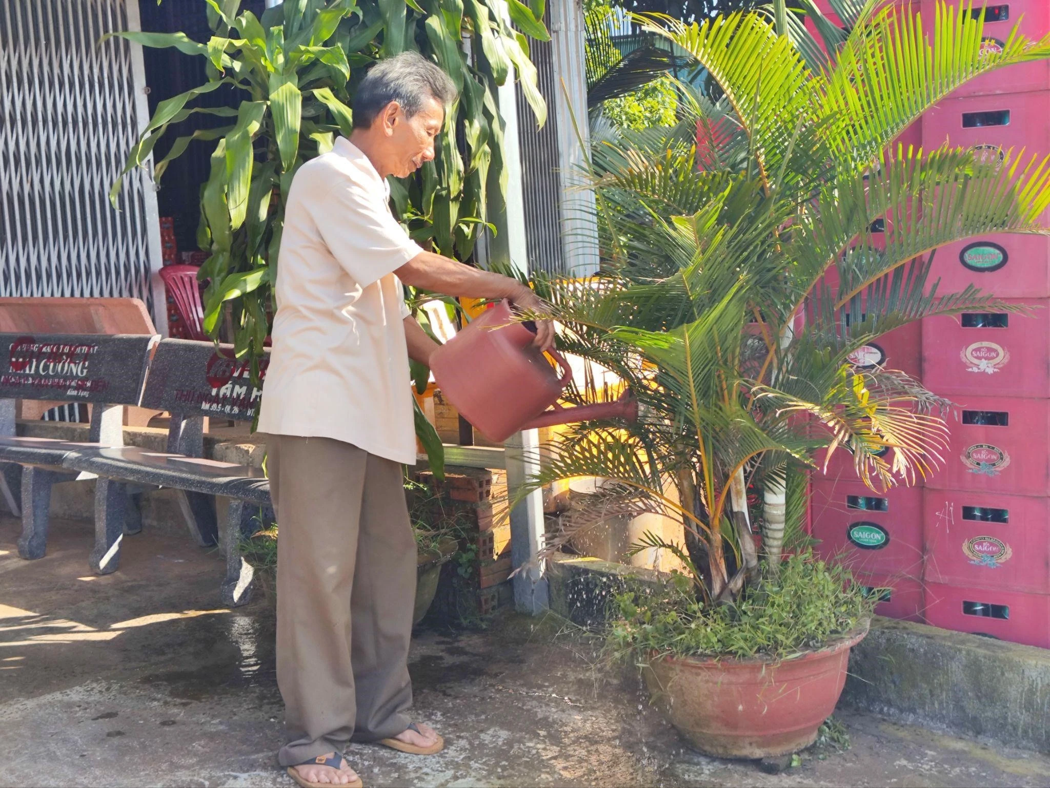 thuốc 2.jpg