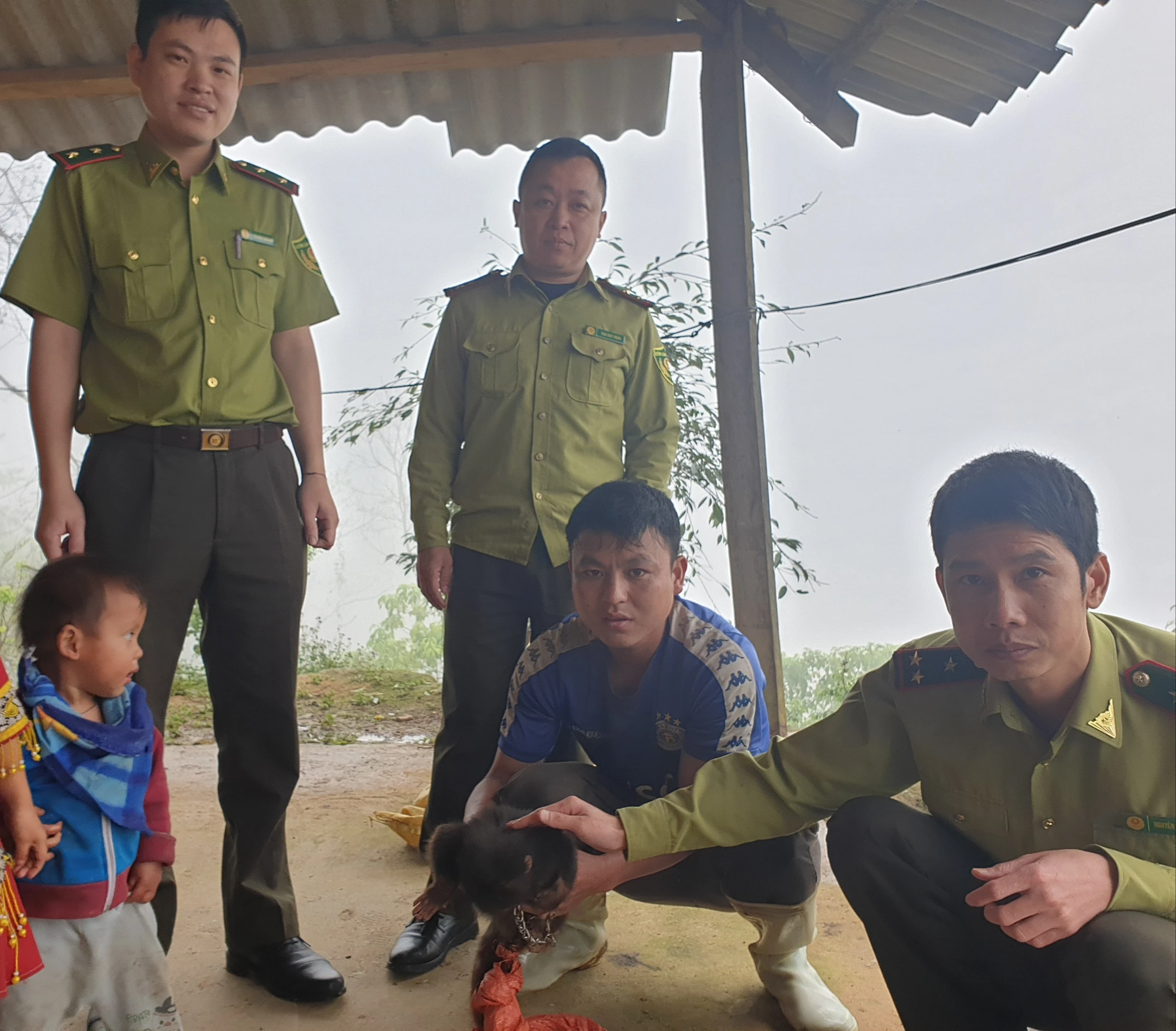 bàn giao khỉ.png