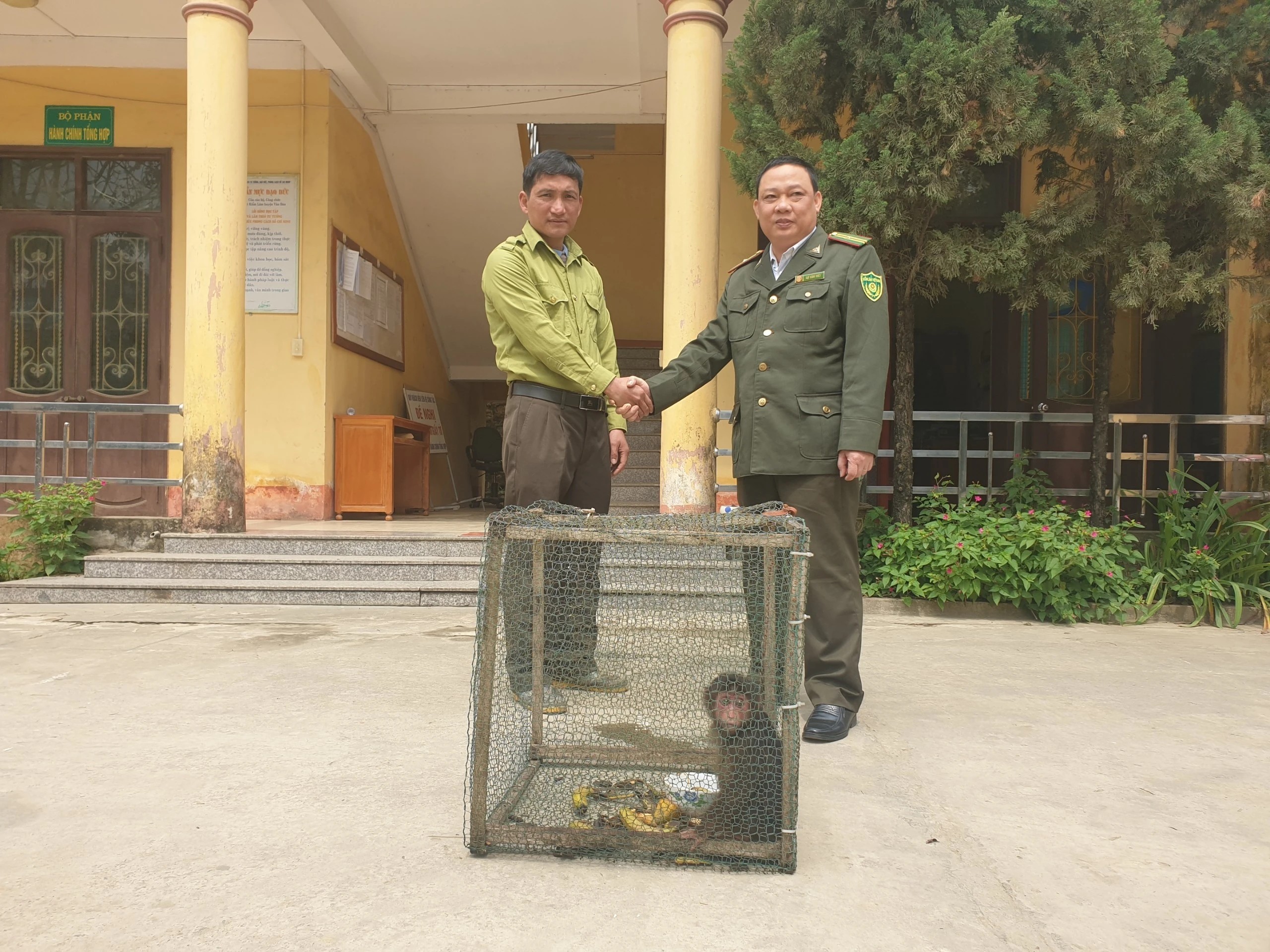 bàn giao khỉ 2.png