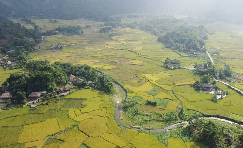 B-o-Yên-3.jpg