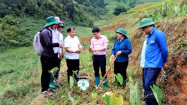 Lao Chải không để ai bị bỏ lại phía sau