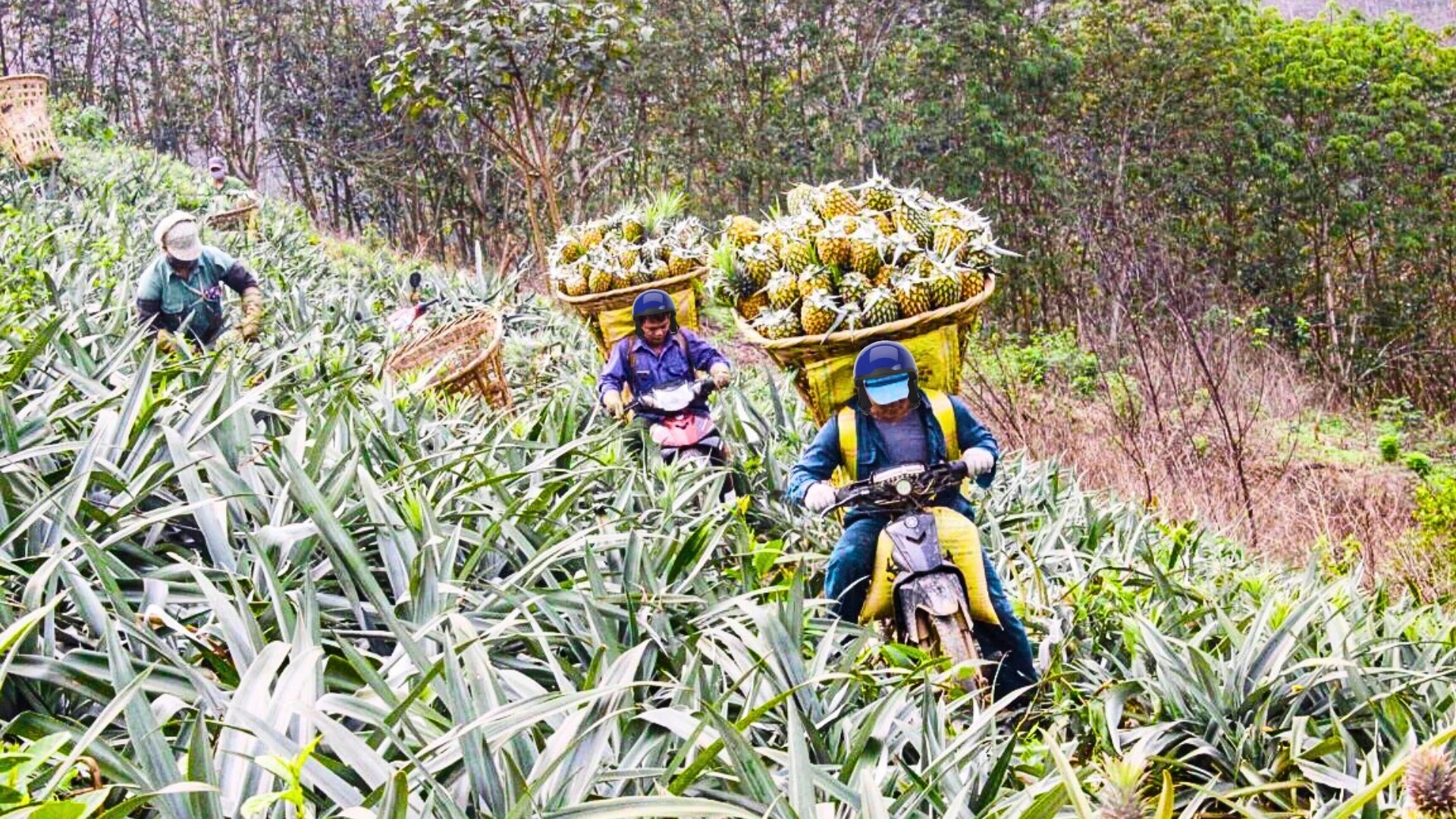 thiet-ke-chua-co-ten-20250312-095902-0000.jpg