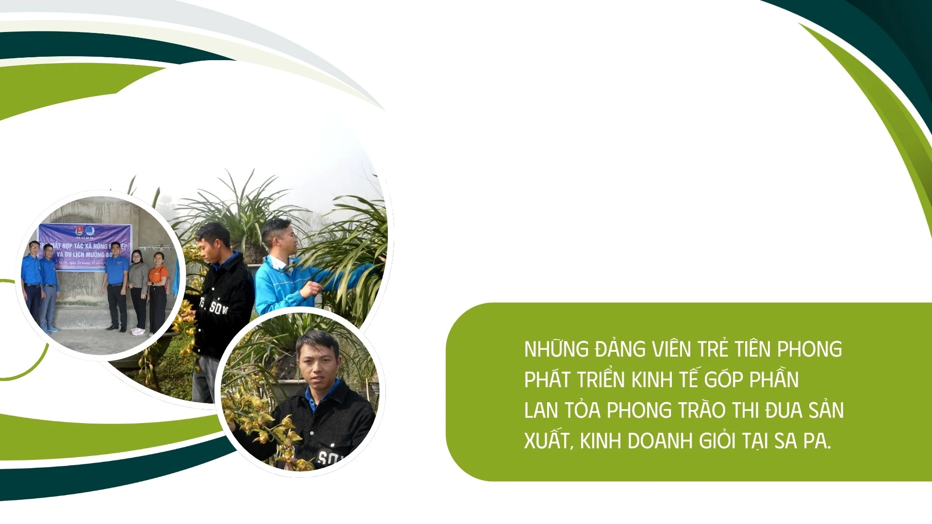 dang-vien-tre-20250328-101439-0003.jpg