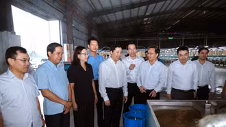 Thường trực Tỉnh ủy kiểm tra tiến độ Dự án Cụm Công nghiệp Bắc Văn Yên và Nhà máy Dâu tằm tơ Yên Bái