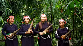 Rộn ràng mùa thu hoạch măng bói