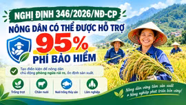 Nông dân có thể được hỗ trợ tới 95% phí bảo hiểm