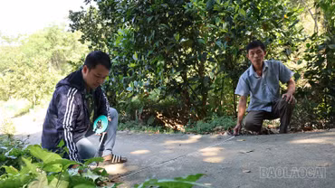 Bảo Thắng thành lập 4 tổ thống kê, kiểm đếm phục vụ giải phóng mặt bằng dự án đường sắt