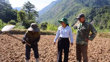 Đồng bào Mông Xanh ở Tu Thượng lần đầu trồng cây vụ đông