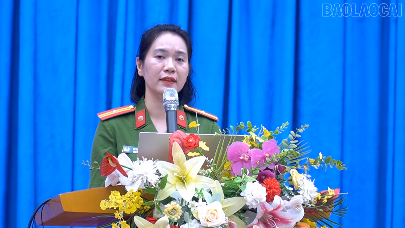 baolaocai-tr_33333.jpg