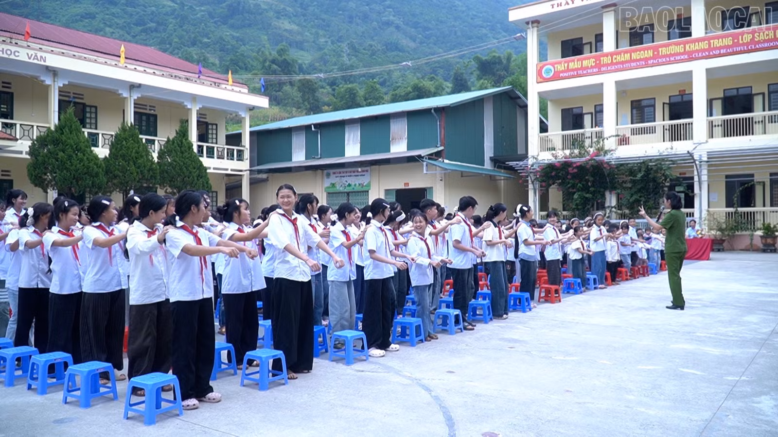 baolaocai-tr_555.jpg