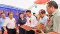 Đa sắc màu không gian trưng bày tại Lễ hội Mùa vàng Sín Chéng