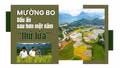 Mường Bo: Dấu ấn sau hơn một năm “thử lửa”
