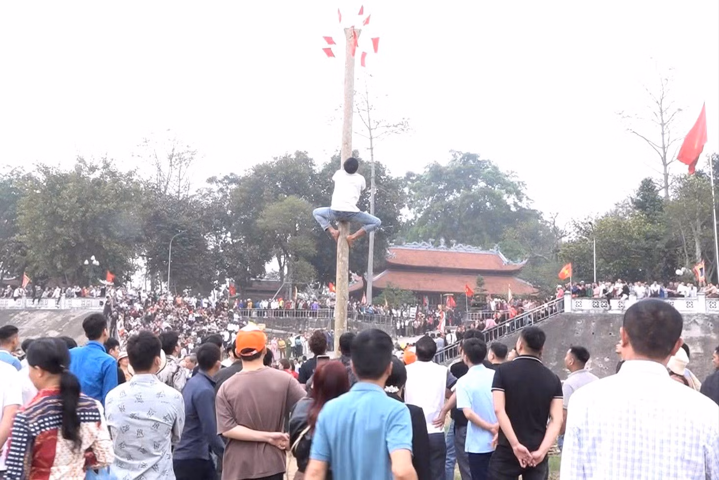 baolaocai-br_z7510266931070-f01f1003d77a7d8e447d21284529a8cc-8944.jpg