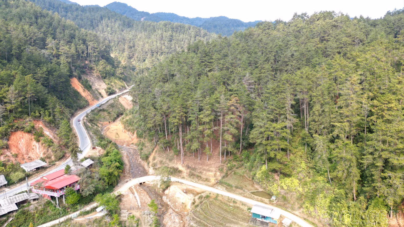 baolaocai-br_dji-0697-4700.jpg
