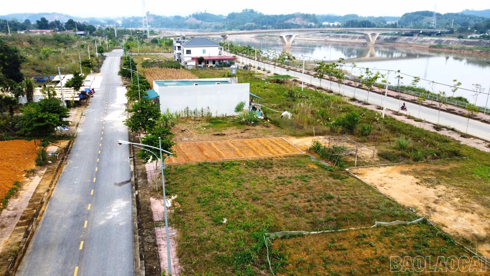 baolaocai-br_z7322338512822-39be7b54528c60c0fc45619bf8107348-7906.jpg