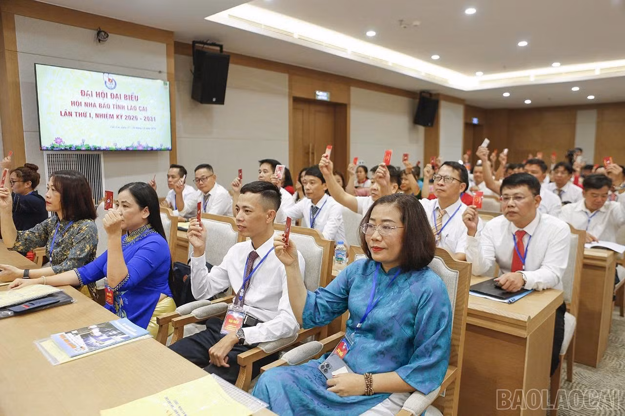 baolaocai-br_1793092912583-2593530486335297953-2593530486335297953-d7cf273453c9497876eb046c116ec7bc.jpg