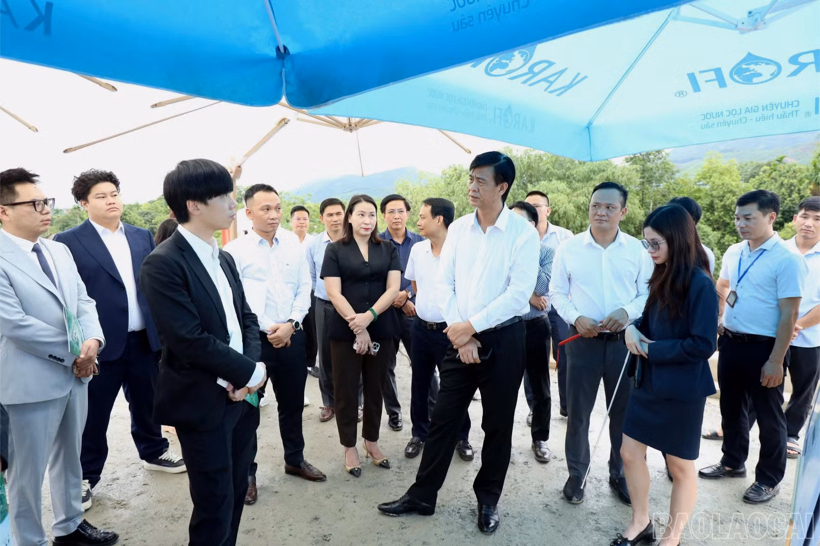 baolaocai-br_z8048461542802-d991322c4283ec7a6c368f53d1256074-9100.jpg