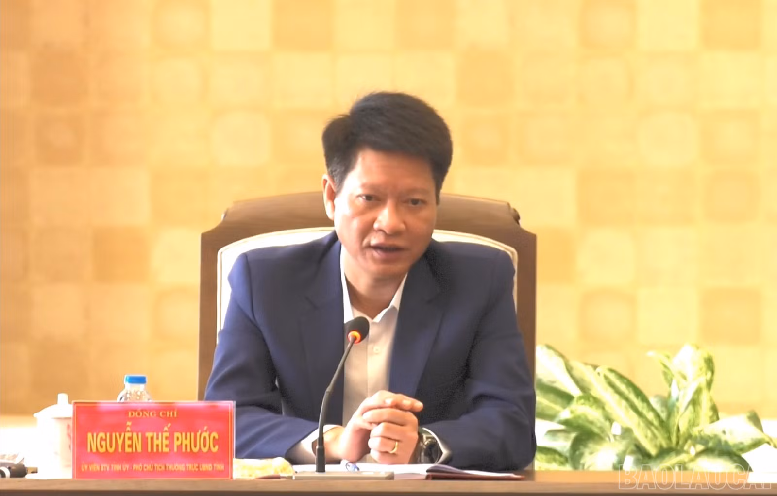 baolaocai-br_a-phuoc-4532.jpg