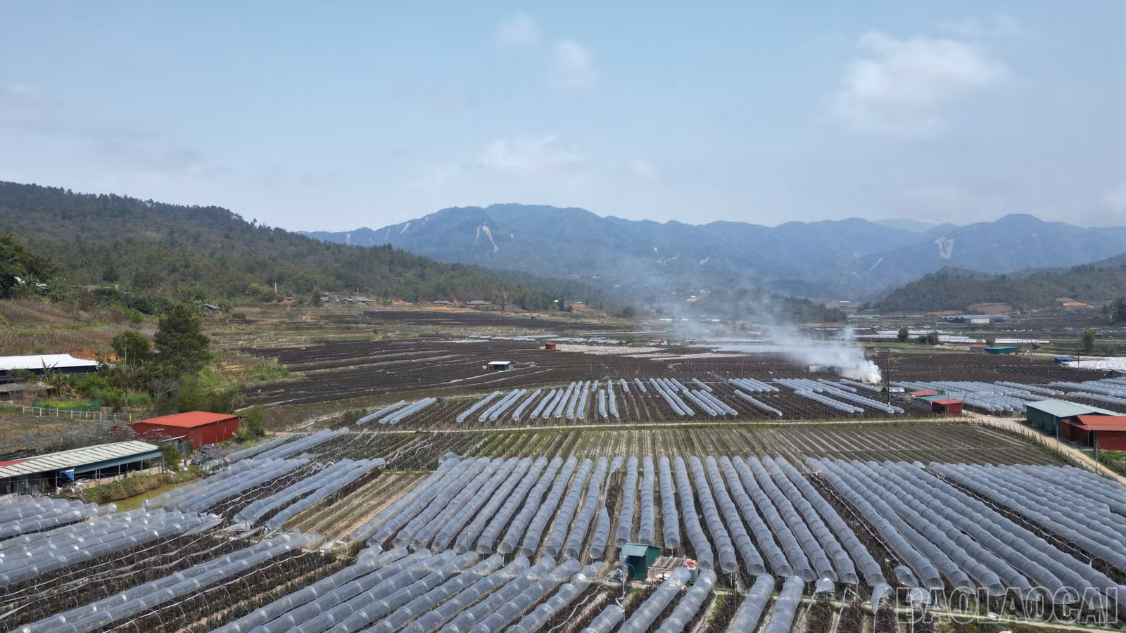 baolaocai-br_dji-0087.jpg