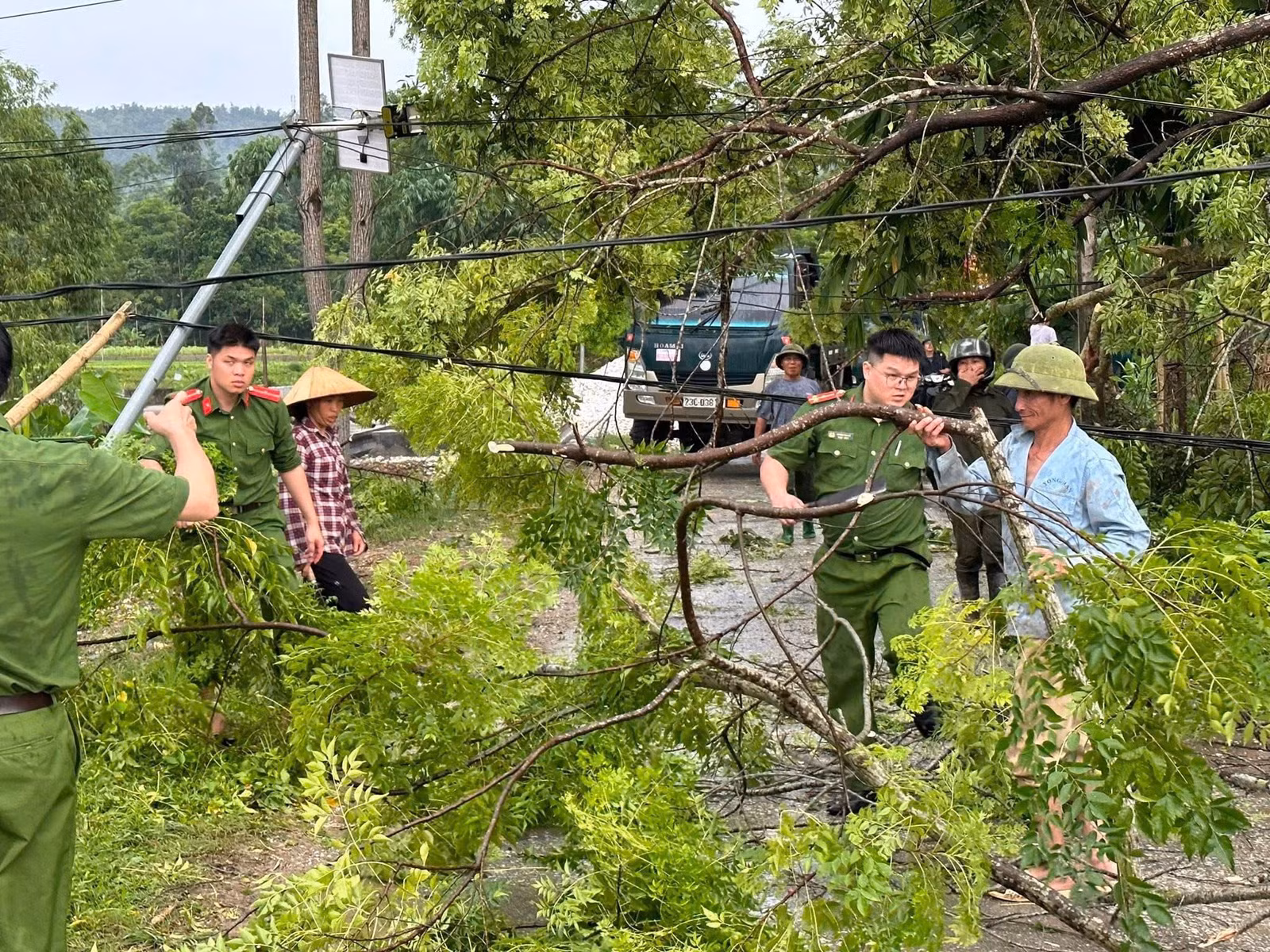 14.jpg