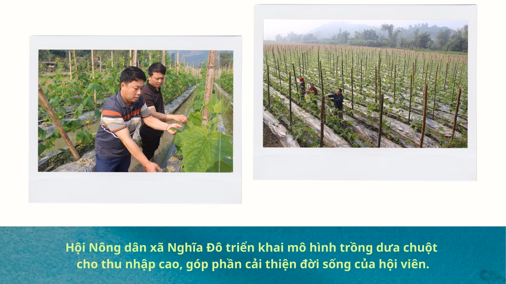 philippine-knowledge-worker-local-tourism-agency-presentation-in-aqua-neon-green-modern-minimalist-style.png