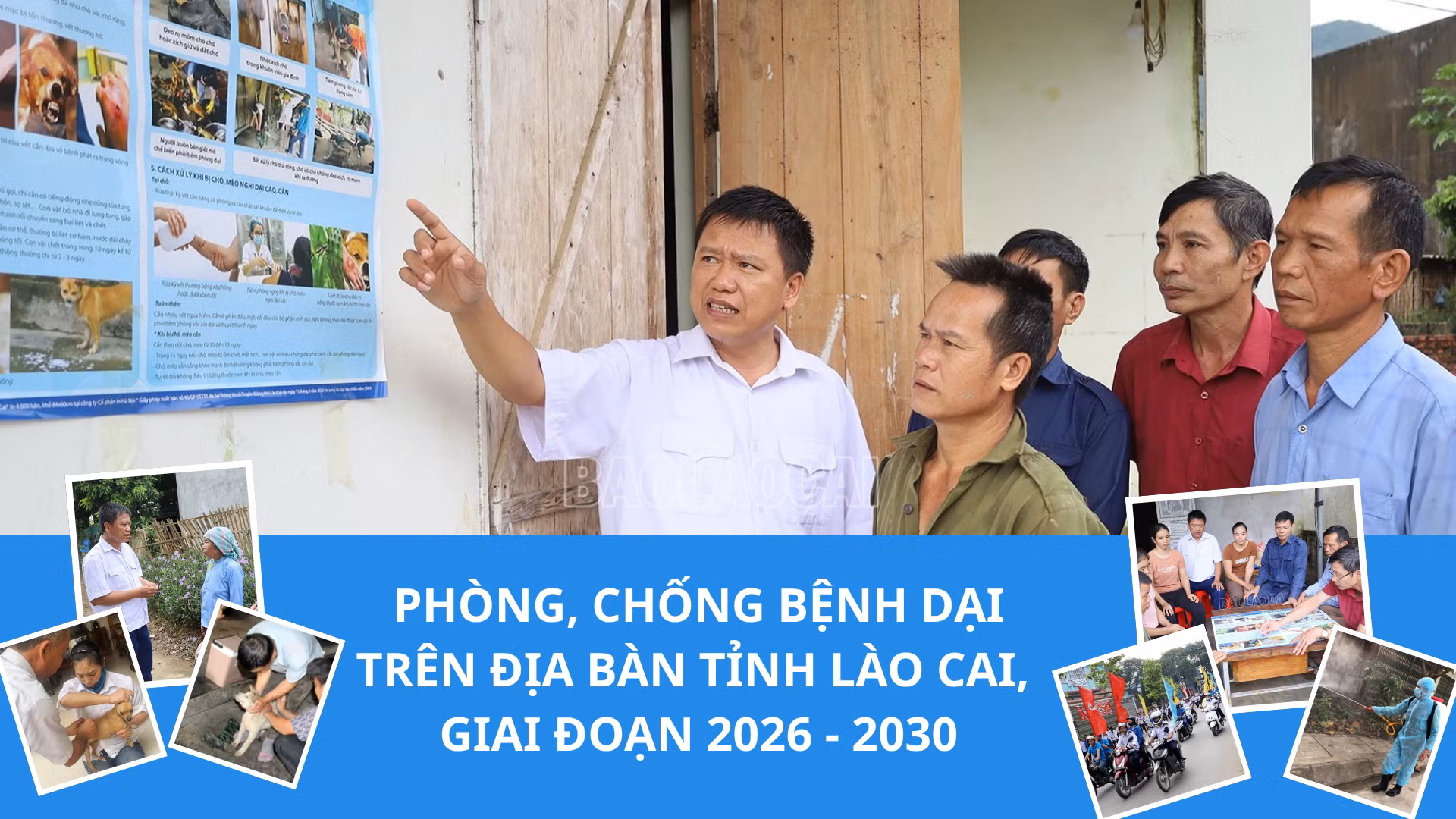 Phòng, chống bệnh dại trên địa bàn tỉnh Lào Cai, giai đoạn 2026 - 2030
