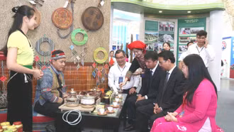 Hương trà cổ thụ giữa lòng Thủ đô