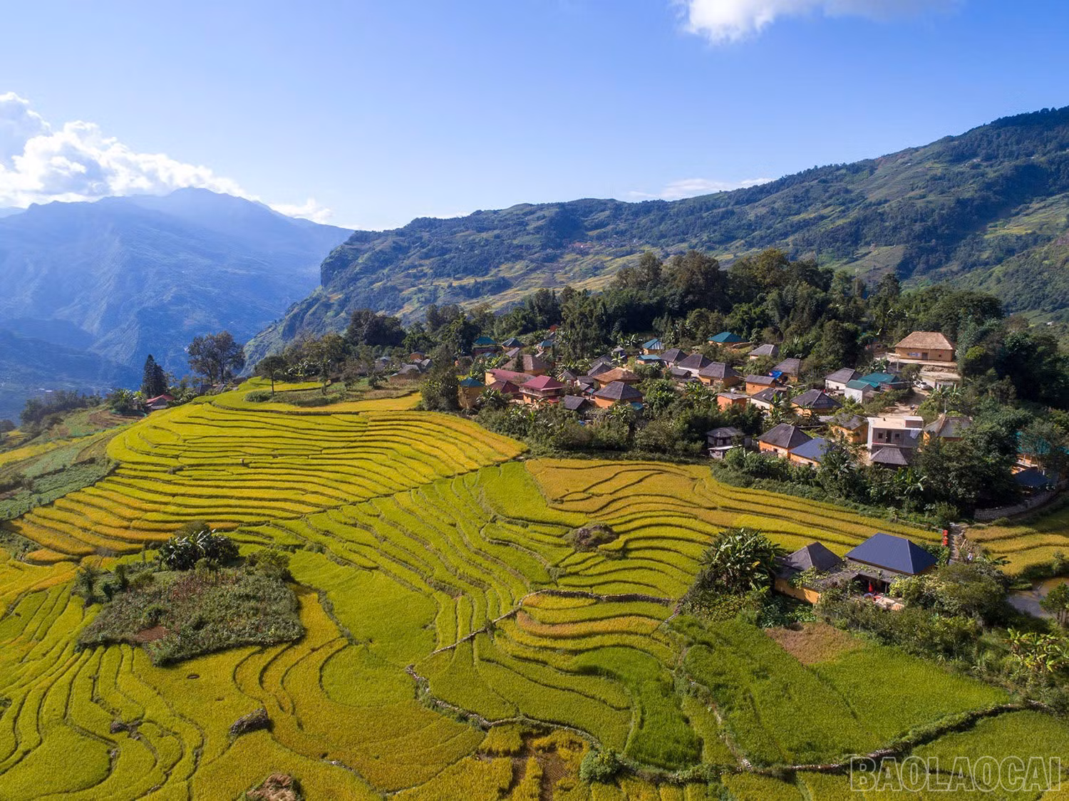Ruộng bậc thang ở Y Tý ôm trọn bản nhỏ, tạo nên khung cảnh thanh bình, no ấm.