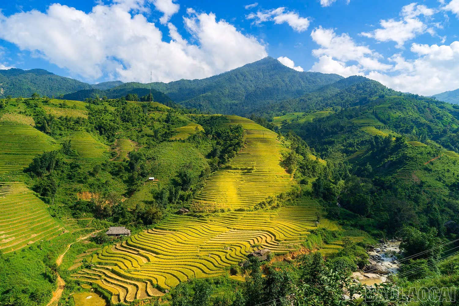Ruộng bậc thang xã Tả Phìn cao nhất Việt Nam với 121 bậc ruộng.