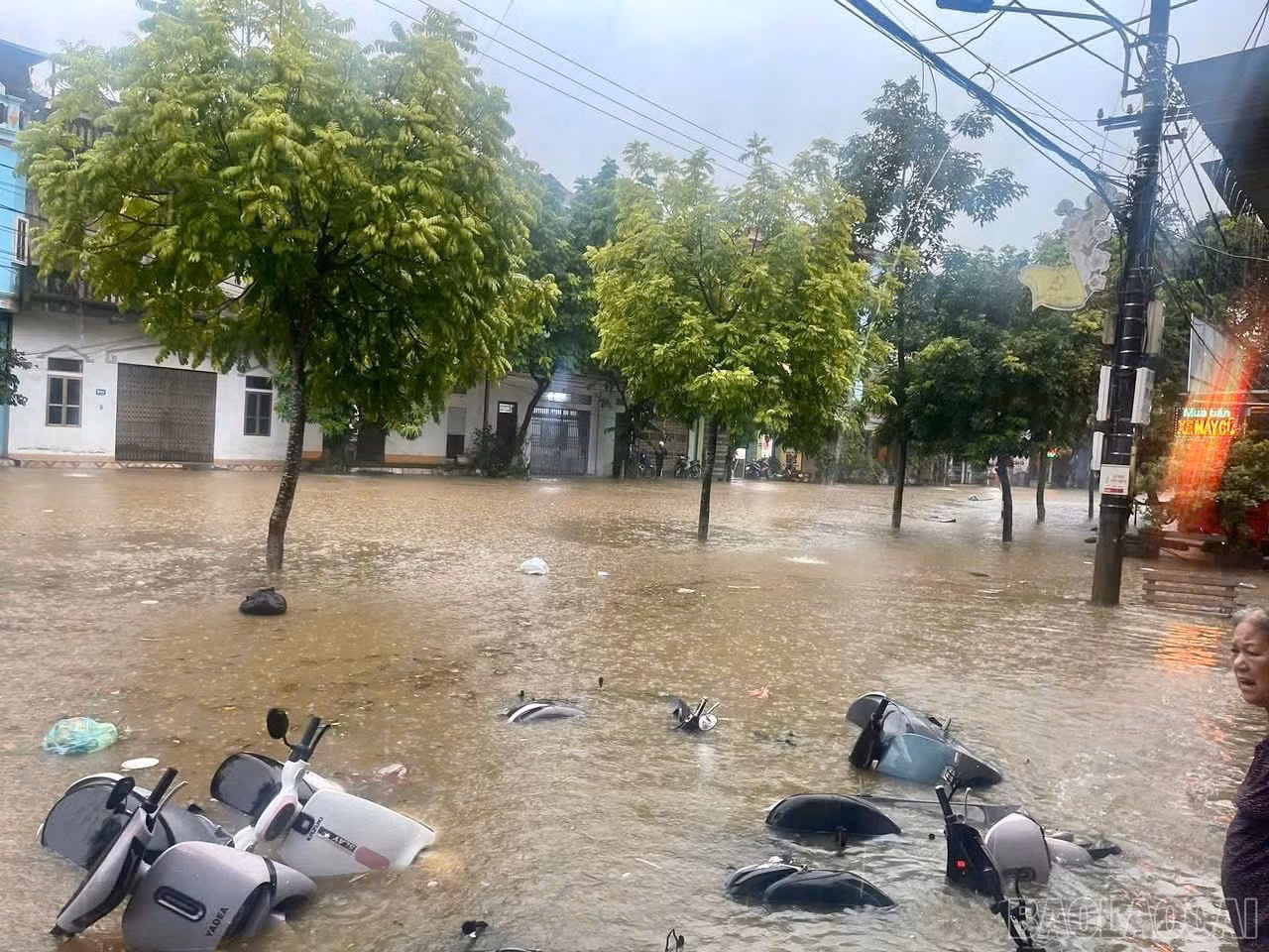 baolaocai-br_z6992038473387-5c5633f020b07b23ac7892d4c2b830a7.jpg