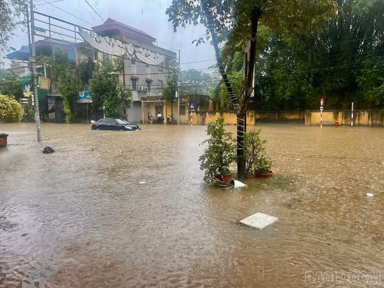 baolaocai-br_z6992038485393-0a6dea941cfeb98d4b774d690ffde37c.jpg