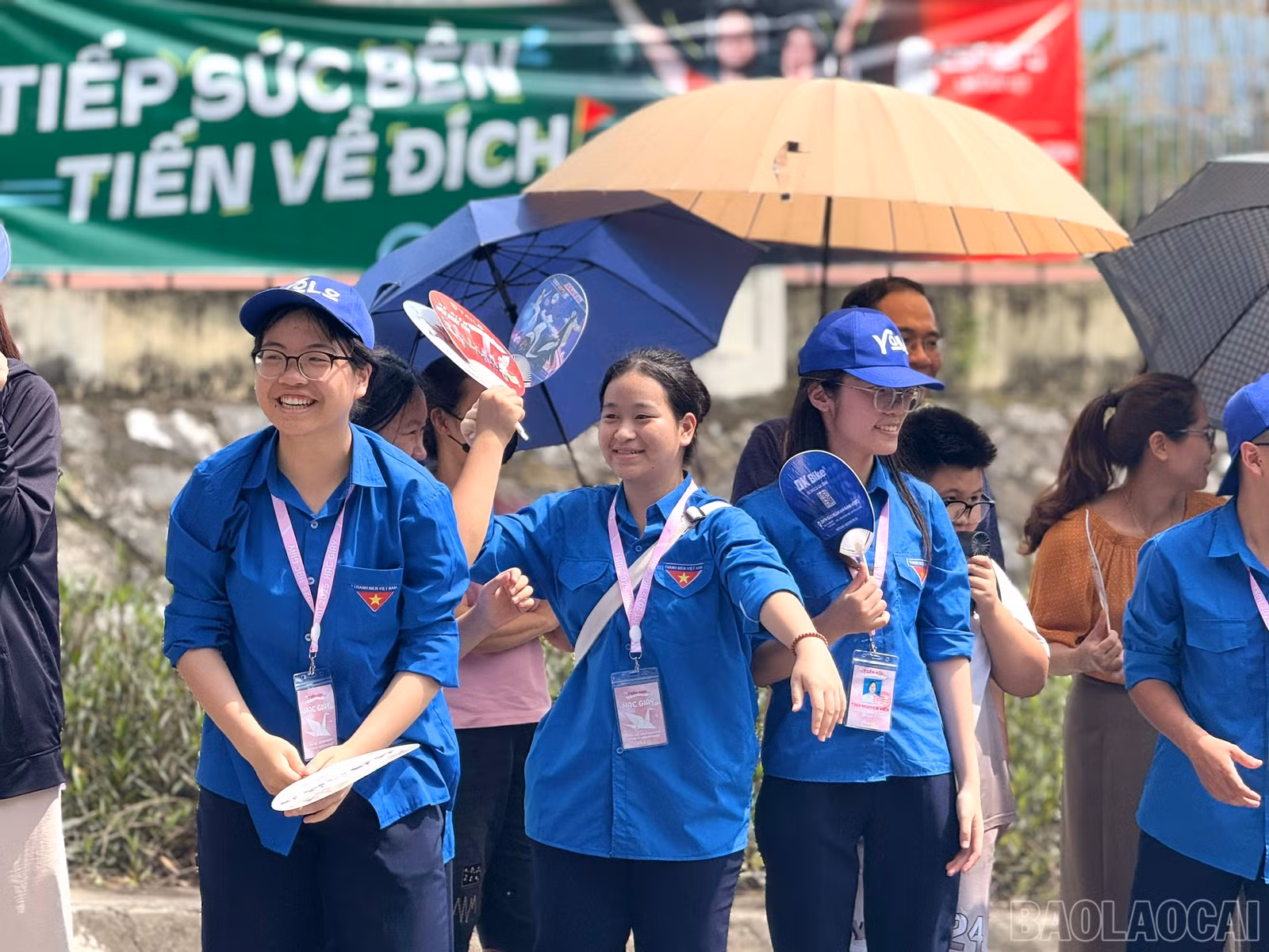 baolaocai-br_z6677308504664-6363bf7de7348b6c1697c0c11e13d7ac.jpg
