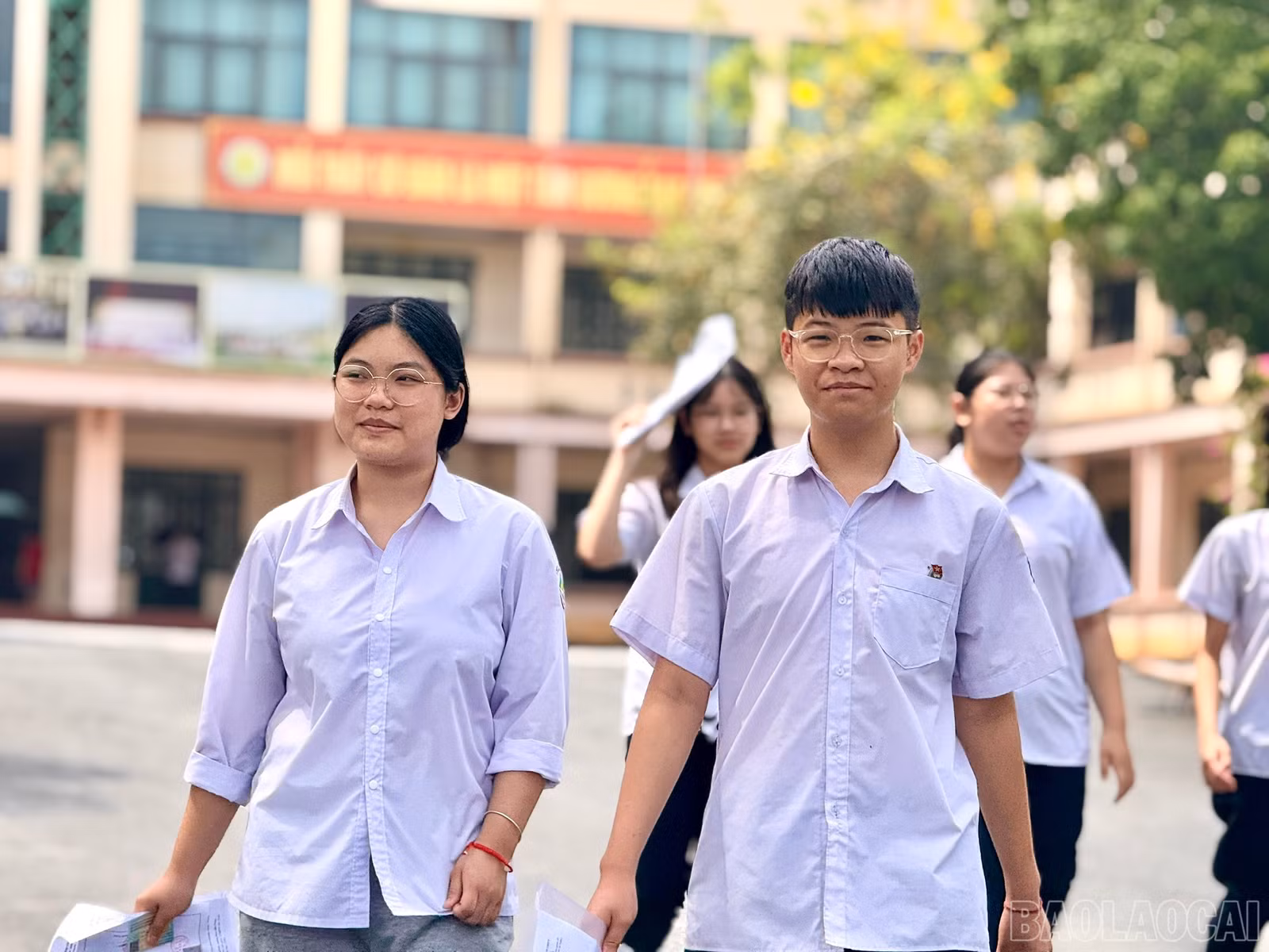 baolaocai-br_z6677281795490-73aa52f9c10d17898e10a0d8226a9ba4.jpg