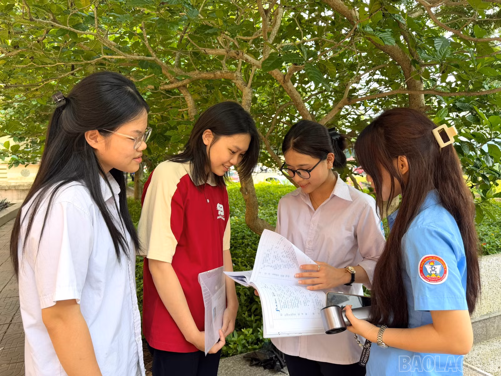 baolaocai-br_z6677267085605-c813d3529dc50437cb38e0d5ab9f0411.jpg