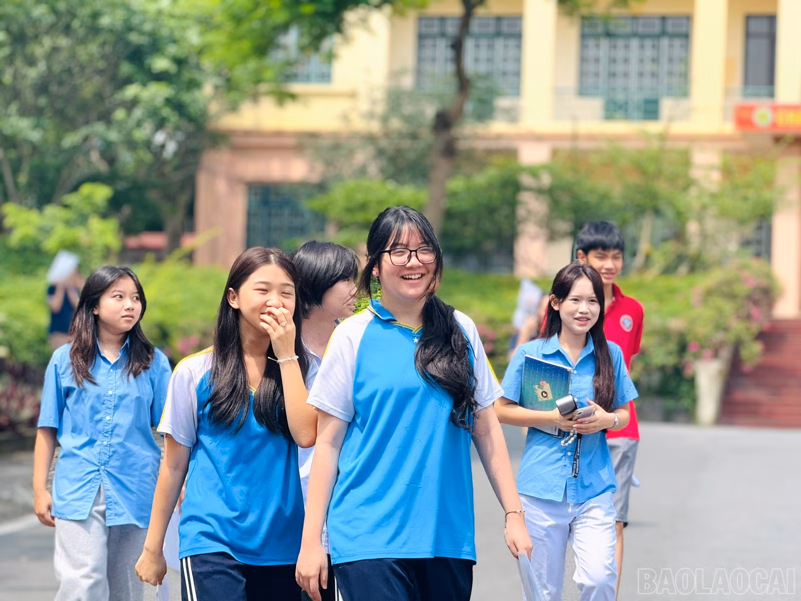 baolaocai-br_z6677263785903-2fcc9e9b9e0cf3c378fa1797f1a1bf0e.jpg