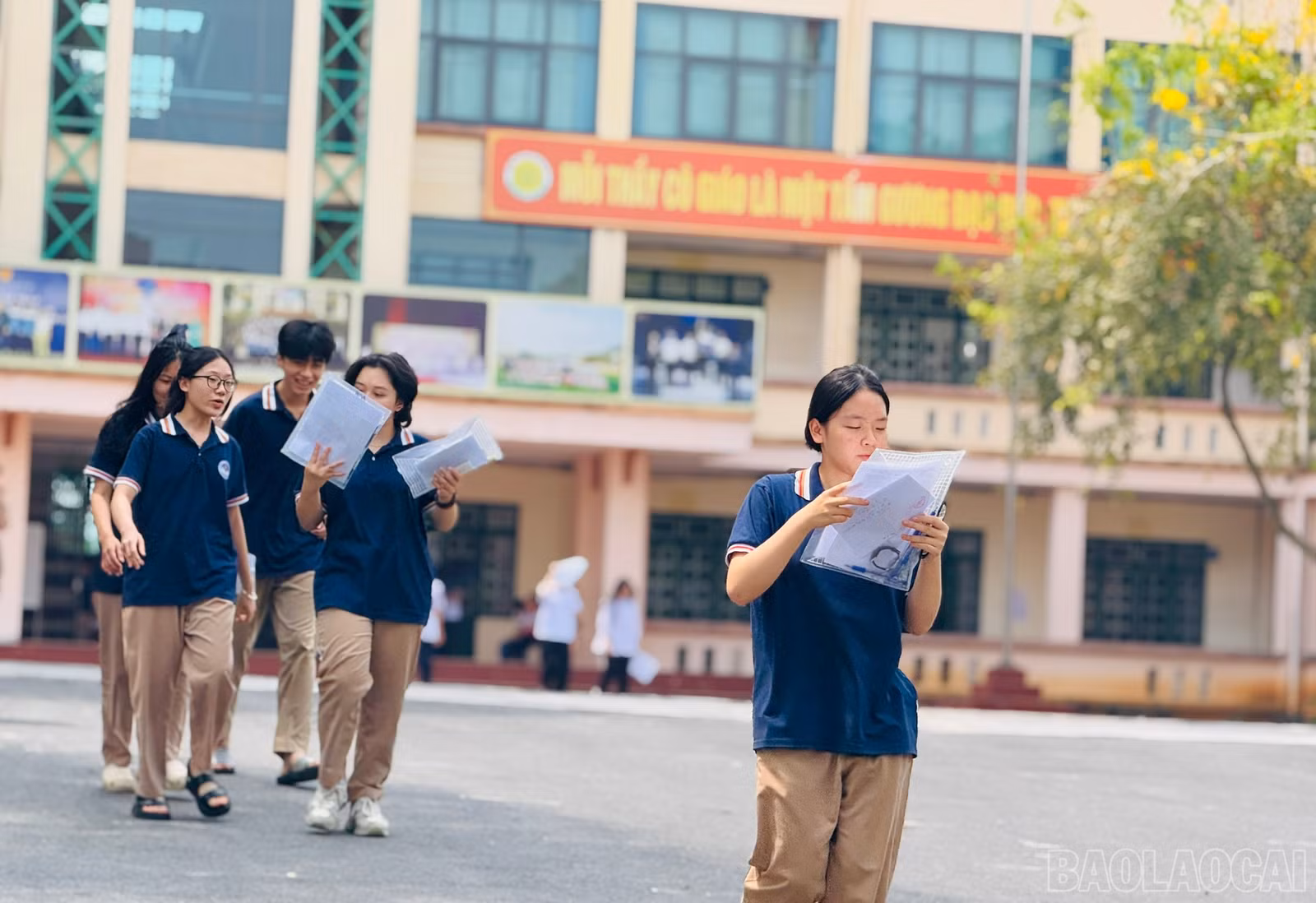 baolaocai-br_z6677269970138-c2364eaf138cb37034c3a7c92d139175.jpg