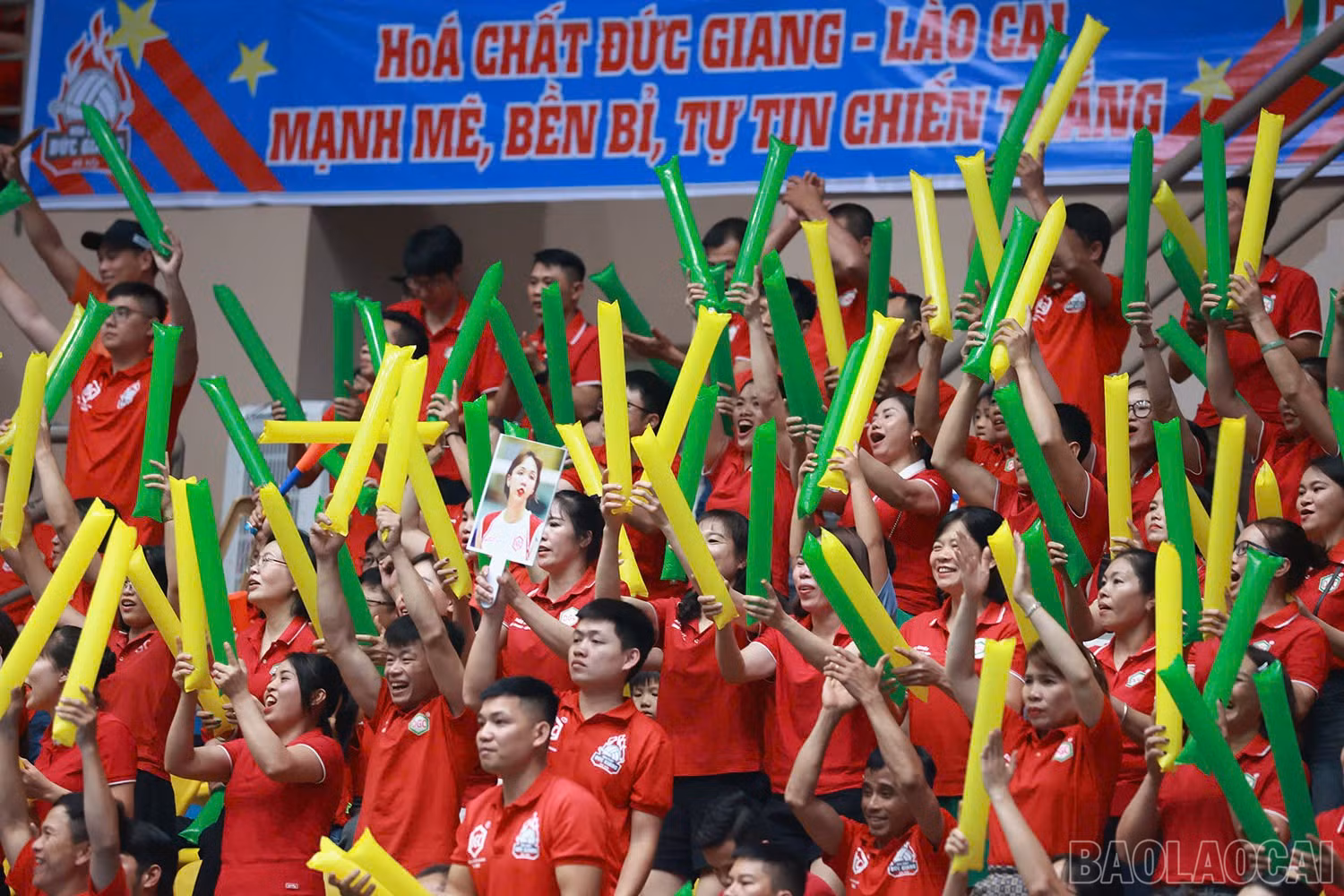baolaocai-br_z6036739090532-9262bdbc9e9540f3f09fa318b8d873da.jpg