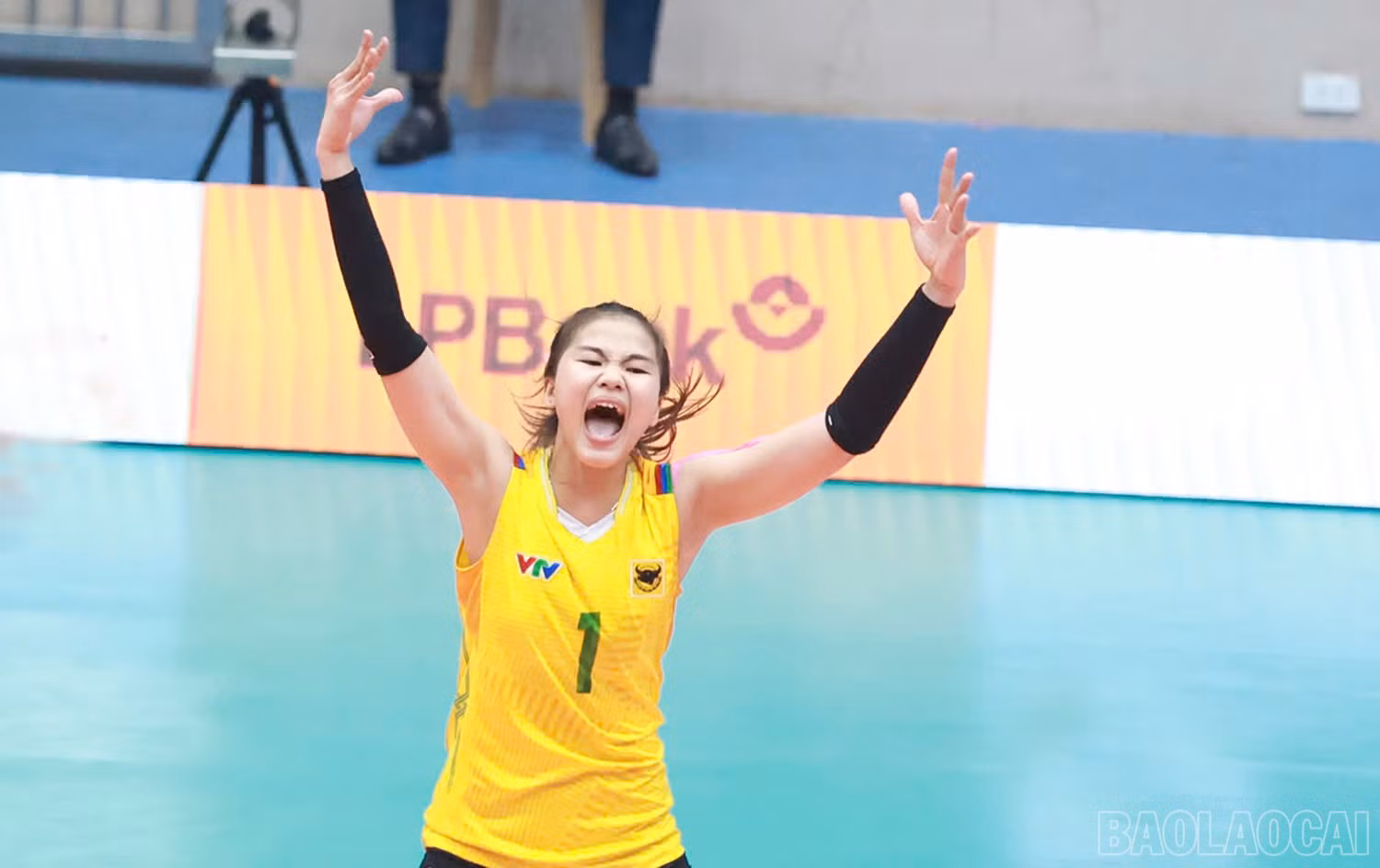 baolaocai-br_z6036058996373-8f211151936b14483f4df1d85899a7b3.jpg