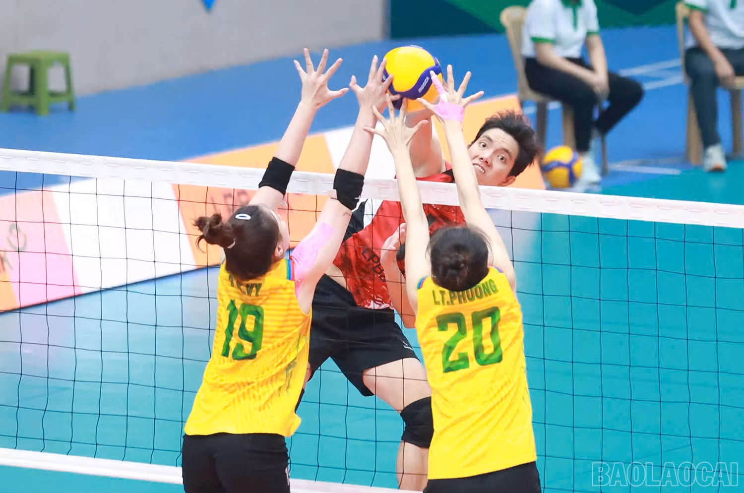 baolaocai-br_z6036058821980-38305322313b62569120a8f460f68f67.jpg