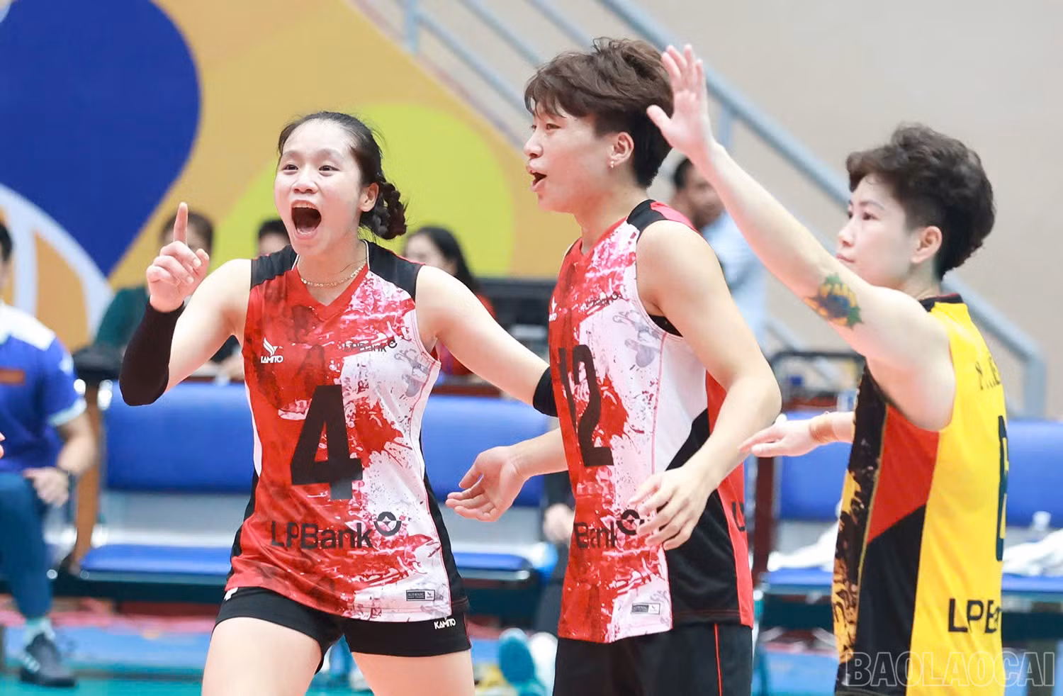 baolaocai-br_z6036058821868-a1b44857541171b2e2c2b319d5a9a494.jpg