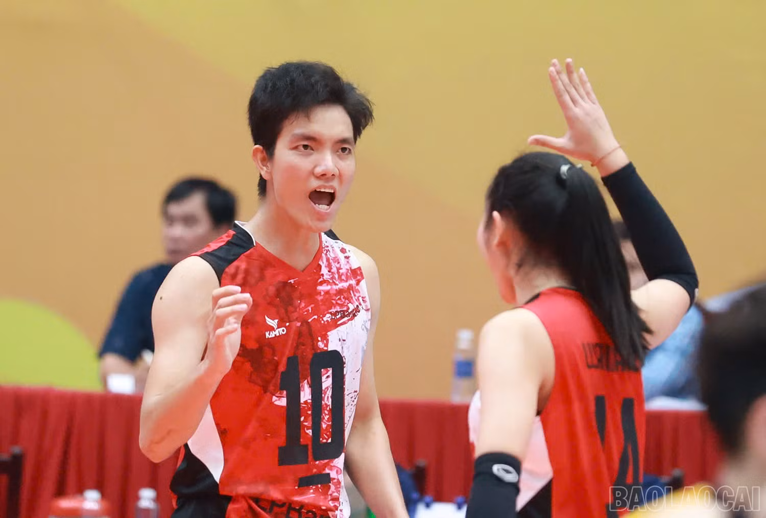 baolaocai-br_z6036058996307-91688eba752e08749a152e141e181595.jpg