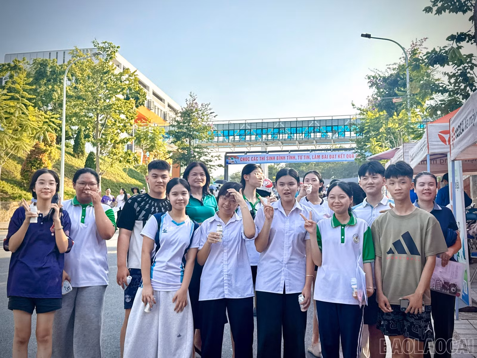 baolaocai-br_1779967870225-1990624821983247676-4362648308235759895-c540d8e8692b43f1bfd6fb4adb916774.jpg