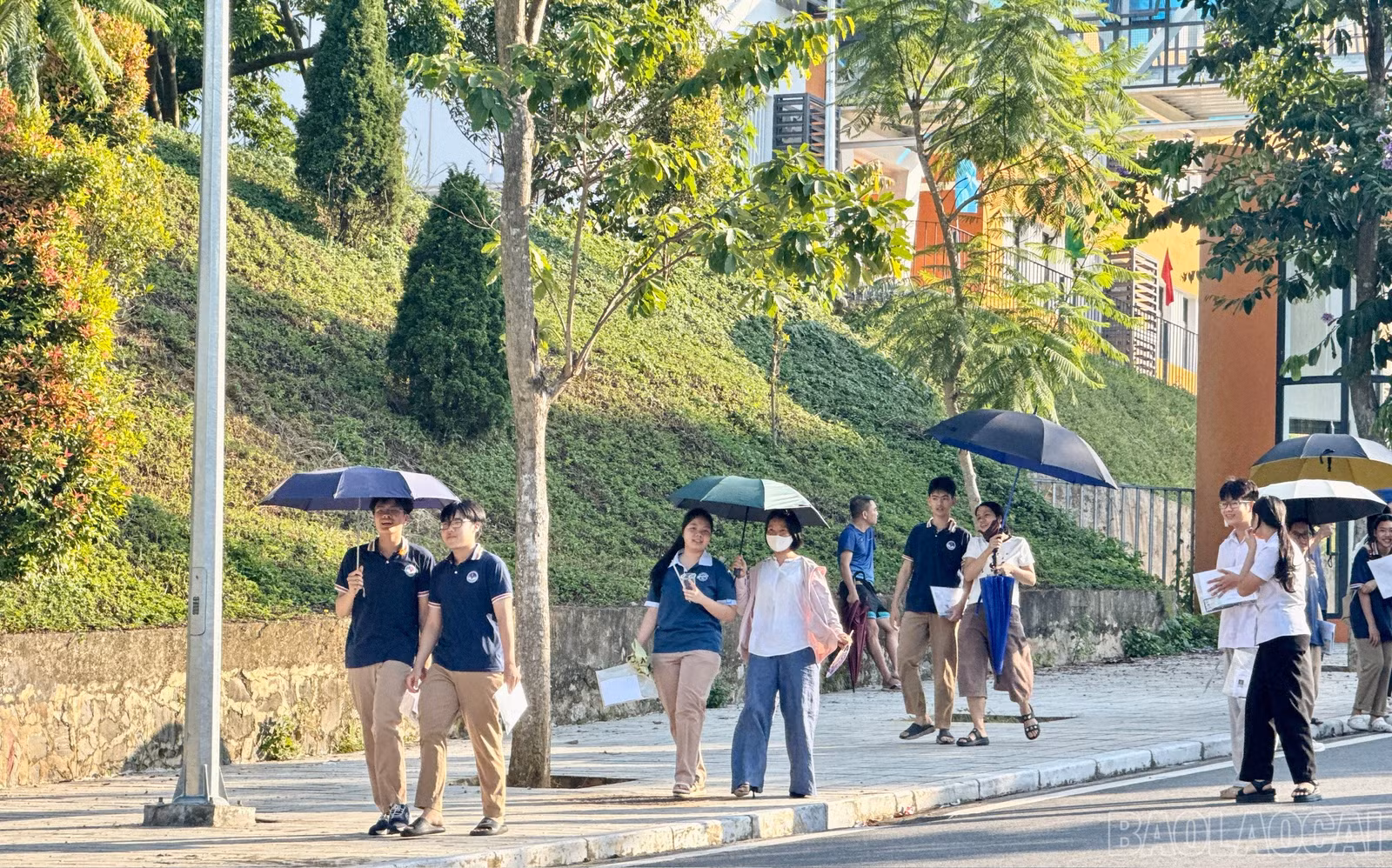 baolaocai-br_1779968078642-1990624821983247676-4362648308235759895-6e750ef9bd2da51673274546621f98d7.jpg